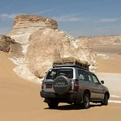 Western Desert Oasis