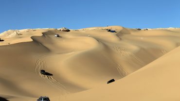 Western Desert