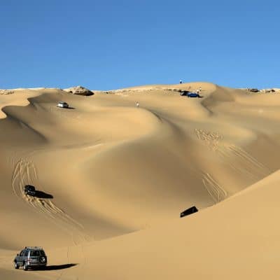 Western Desert Oasis