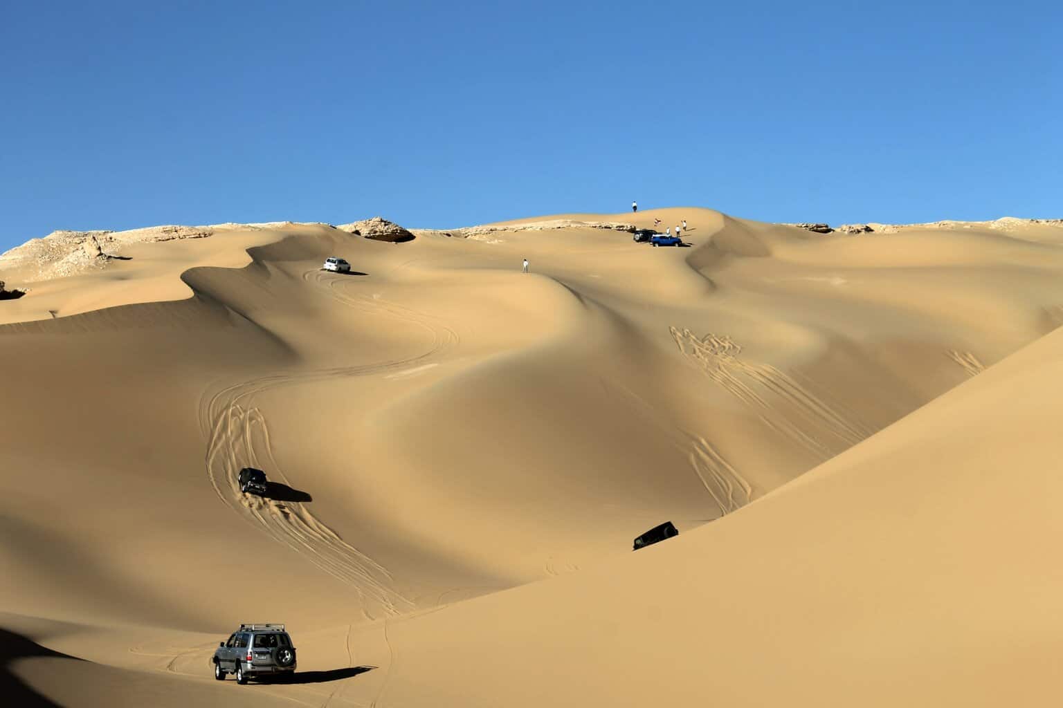 Western Desert Oasis