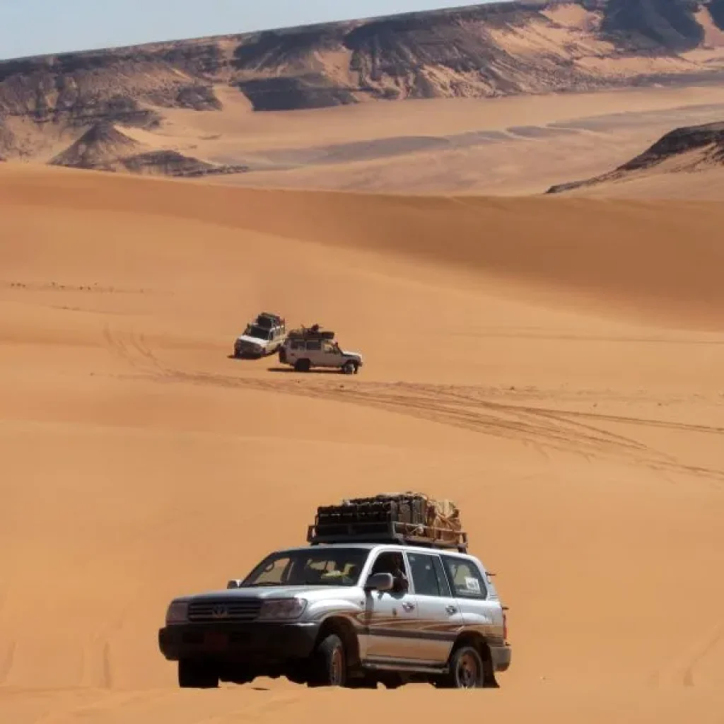 Best Western Desert Oasis