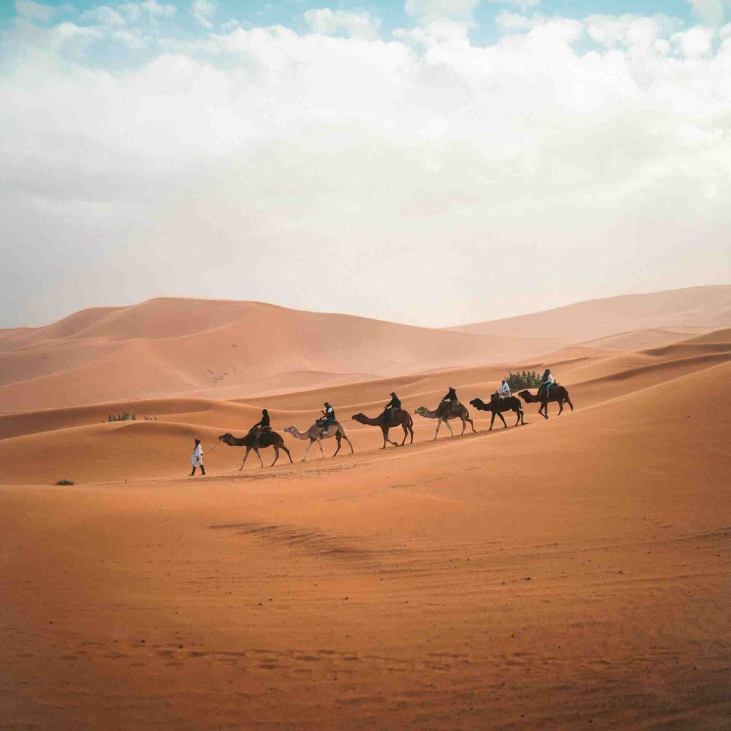 best western desert oasis