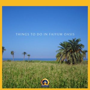 Safari Tours Egypt 48 Fayoum Oasis