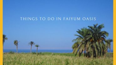 Fayoum Oasis : Things To Do In Faiyum Oasis