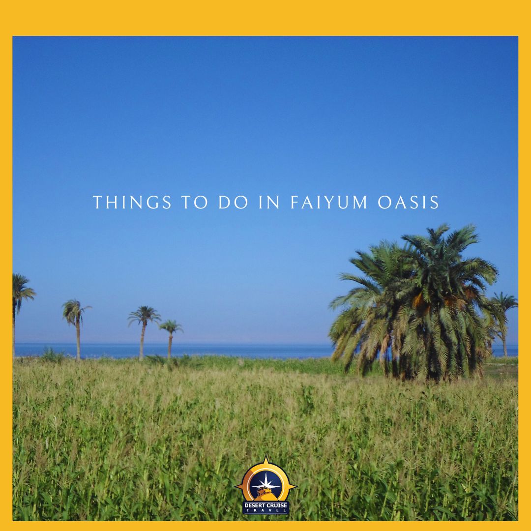 Fayoum Oasis : Things To Do In Faiyum Oasis