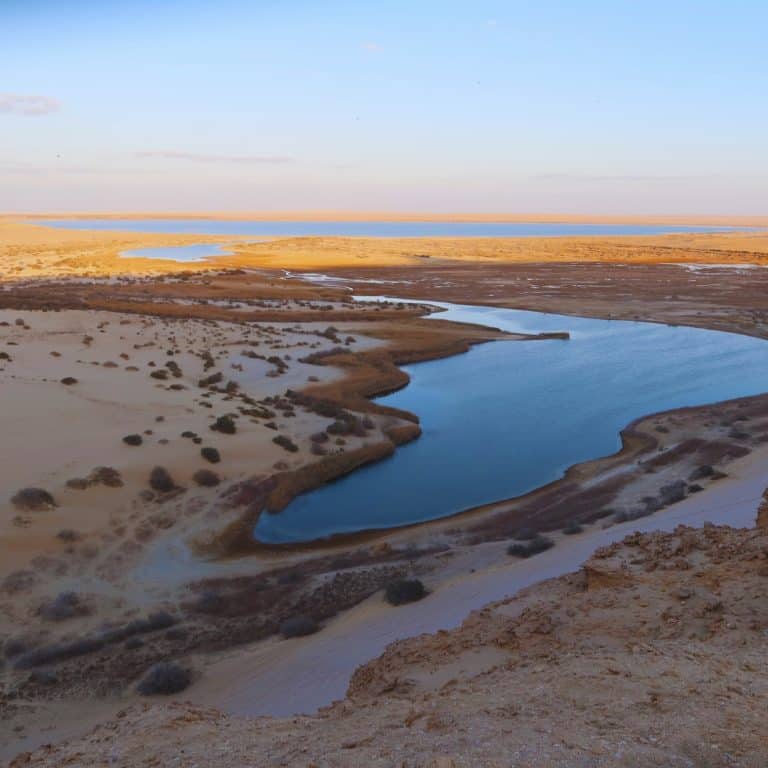 Fayoum Oasis | Things To Do In Faiyum Oasis 7 Rayen Desert Cruise Travel