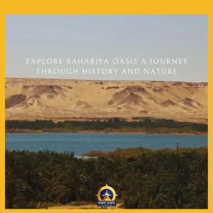 Western Desert Egypt Attractions 34 Bahariya Oasis Egypt