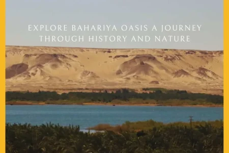 Bahariya Oasis Egypt