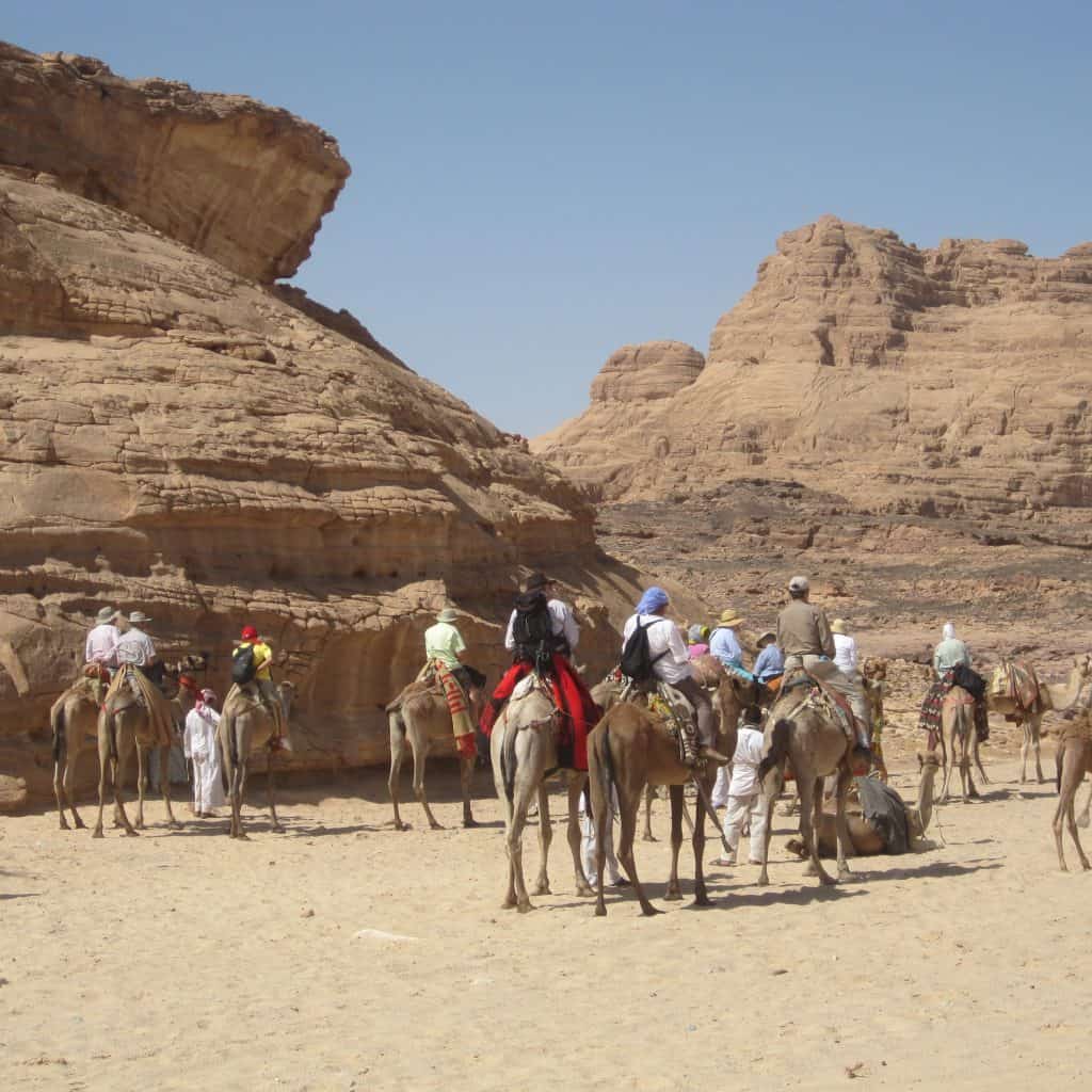 Camel Trek Wadi Gazala