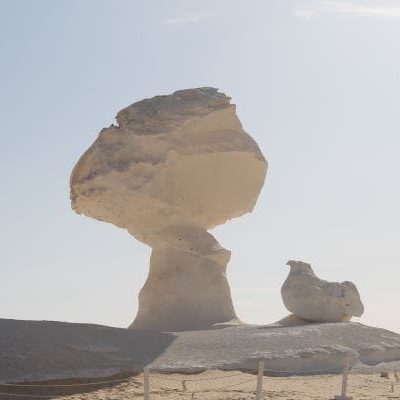 Western Desert Oasis