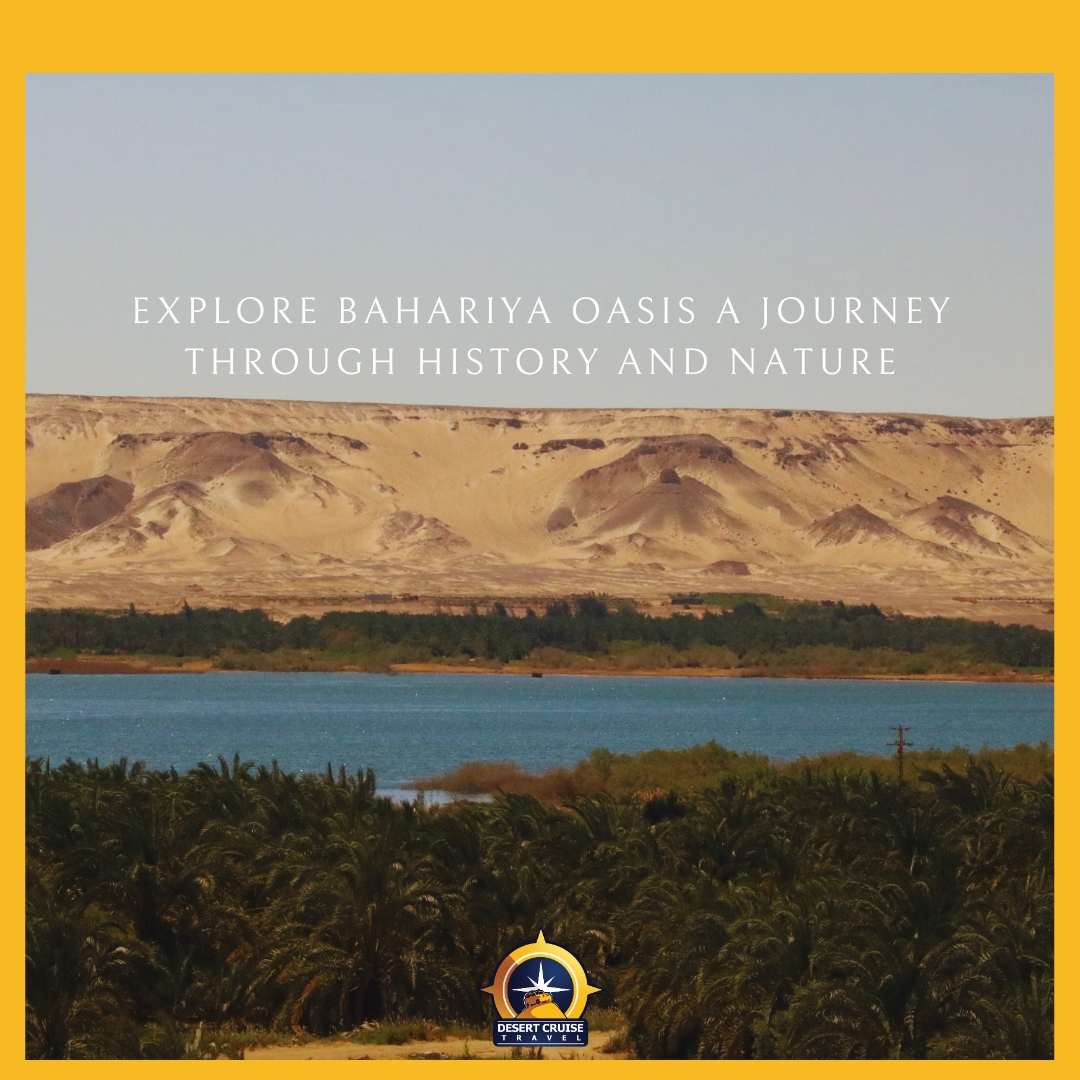 Explore Bahariya Oasis: A Journey Through History and Nature