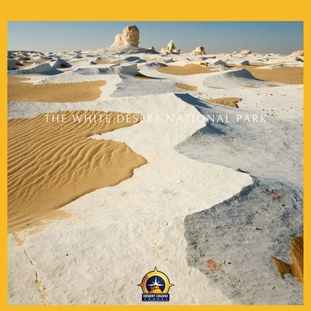 white desert-camping