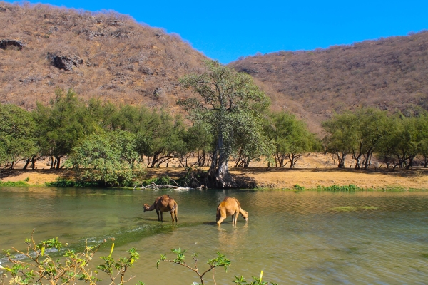 Salalah