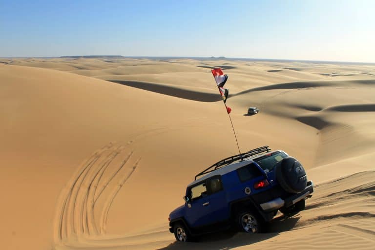 Western Desert Tours