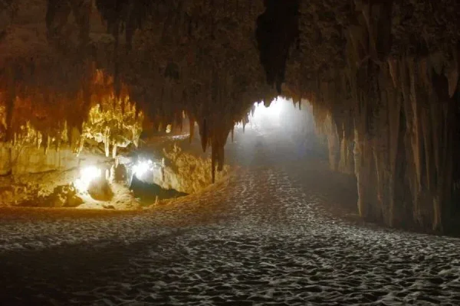 Western Desert Tours