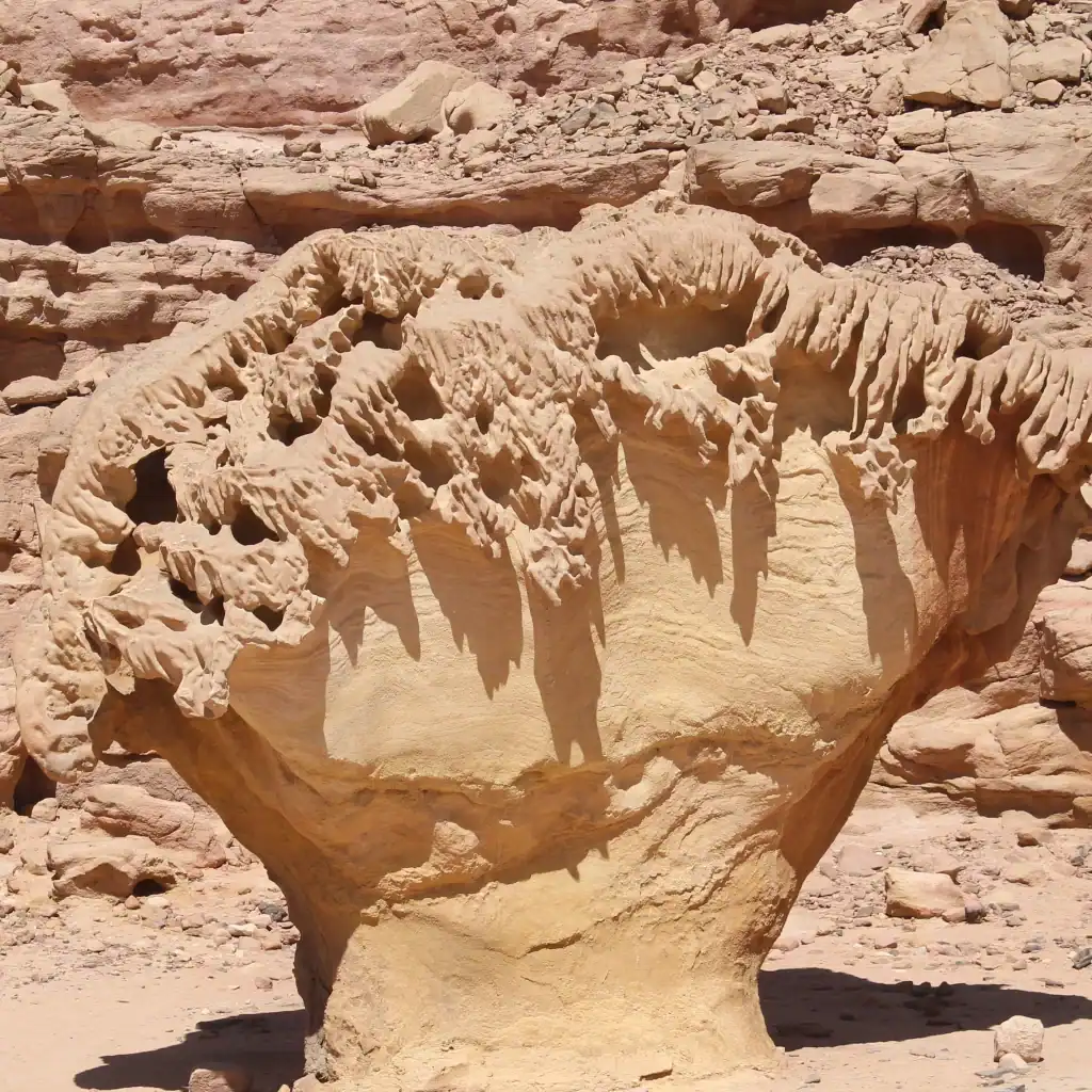 Sinai Peninsula | Egypt’s Land of Mountains & Myths 6 Mashroum Sinai