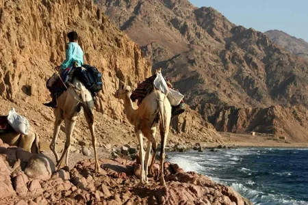 Abu Galum A Unique Natural Reserve in Sinai