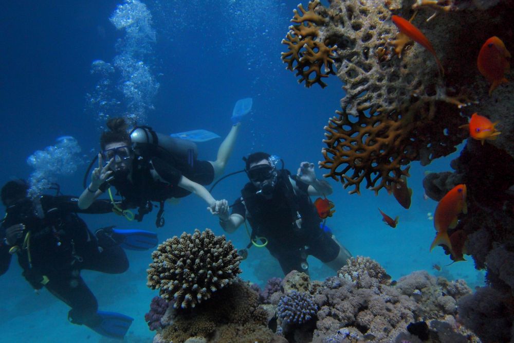 Snorkeling in the Red Sea