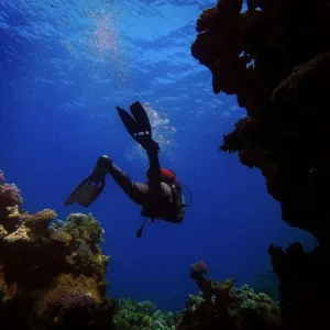 best snorkeling egypt red sea