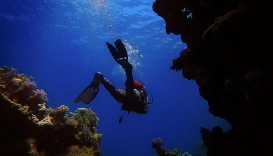 best snorkeling egypt red sea